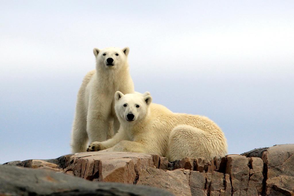 Funken Lodge Longyearbyen Dış mekan fotoğraf