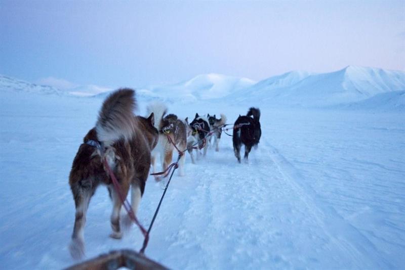 Funken Lodge Longyearbyen Dış mekan fotoğraf